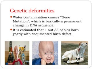 Environmental pollution | PPT