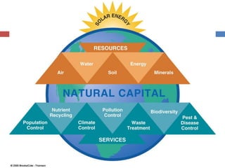 Environmental Issues and Sustainability