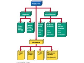 Environmental Issues and Sustainability