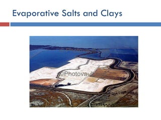 Environmental Issues and Sustainability