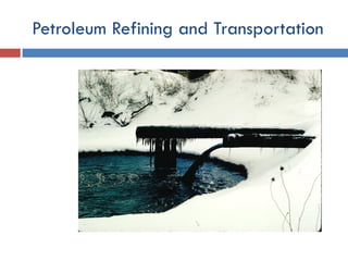 Environmental Issues and Sustainability