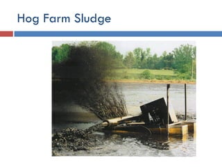 Environmental Issues and Sustainability