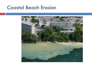 Environmental Issues and Sustainability