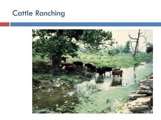 Environmental Issues and Sustainability