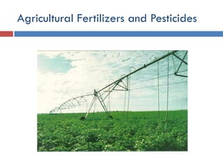 Environmental Issues and Sustainability