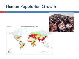 Environmental Issues and Sustainability
