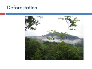 Environmental Issues and Sustainability