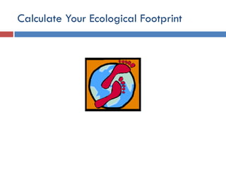 Environmental Issues and Sustainability