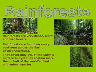 Rainforests are very dense, warm
and wet forests.
Rainforests are found on every
continent across the Earth,
except Antarctica.
They cover only 6% of the Earth’s
surface but yet they contain more
than a half of the world’s plant
and animal species.
 