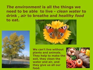 The environment is all the things we
need to be able to live - clean water to
drink , air to breathe and healthy food
to eat.
We can’t live without
plants and animals.
They help to make the
soil, they clean the
water and air, and
they give us all our
food.
 