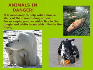 ANIMALS IN
DANGER!
It is necessary to help wild animals.
Many of them are in danger now.
For example, pandas which live in the
jungle and white bears which live in the
Arctic.
 