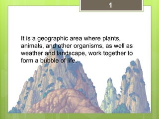 It is a geographic area where plants,
animals, and other organisms, as well as
weather and landscape, work together to
form a bubble of life.
1
 