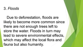 3. Floods
Due to deforestation, floods are
likely to become more common since
there are not enough trees left to
store the...