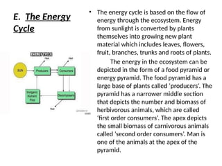 E. The Energy
Cycle
• The energy cycle is based on the flow of
energy through the ecosystem. Energy
from sunlight is converted by plants
themselves into growing new plant
material which includes leaves, flowers,
fruit, branches, trunks and roots of plants.
The energy in the ecosystem can be
depicted in the form of a food pyramid or
energy pyramid. The food pyramid has a
large base of plants called ‘producers’. The
pyramid has a narrower middle section
that depicts the number and biomass of
herbivorous animals, which are called
‘first order consumers’. The apex depicts
the small biomass of carnivorous animals
called ‘second order consumers’. Man is
one of the animals at the apex of the
pyramid.
 