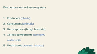 Five components of an ecosystem
1. Producers (plants)
2. Consumers (animals)
3. Decomposers (fungi, bacteria)
4. Abiotic components (sunlight,
water, soil)
5. Detritivores ( worms, insects)
 