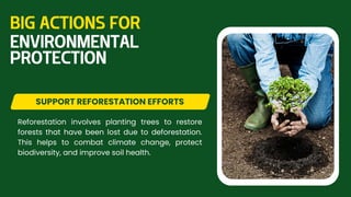 Reforestation involves planting trees to restore
forests that have been lost due to deforestation.
This helps to combat climate change, protect
biodiversity, and improve soil health.
SUPPORT REFORESTATION EFFORTS
BIG ACTIONS FOR
ENVIRONMENTAL
PROTECTION
 