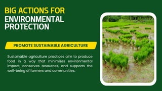 Sustainable agriculture practices aim to produce
food in a way that minimizes environmental
impact, conserves resources, and supports the
well-being of farmers and communities.
PROMOTE SUSTAINABLE AGRICULTURE
BIG ACTIONS FOR
ENVIRONMENTAL
PROTECTION
 