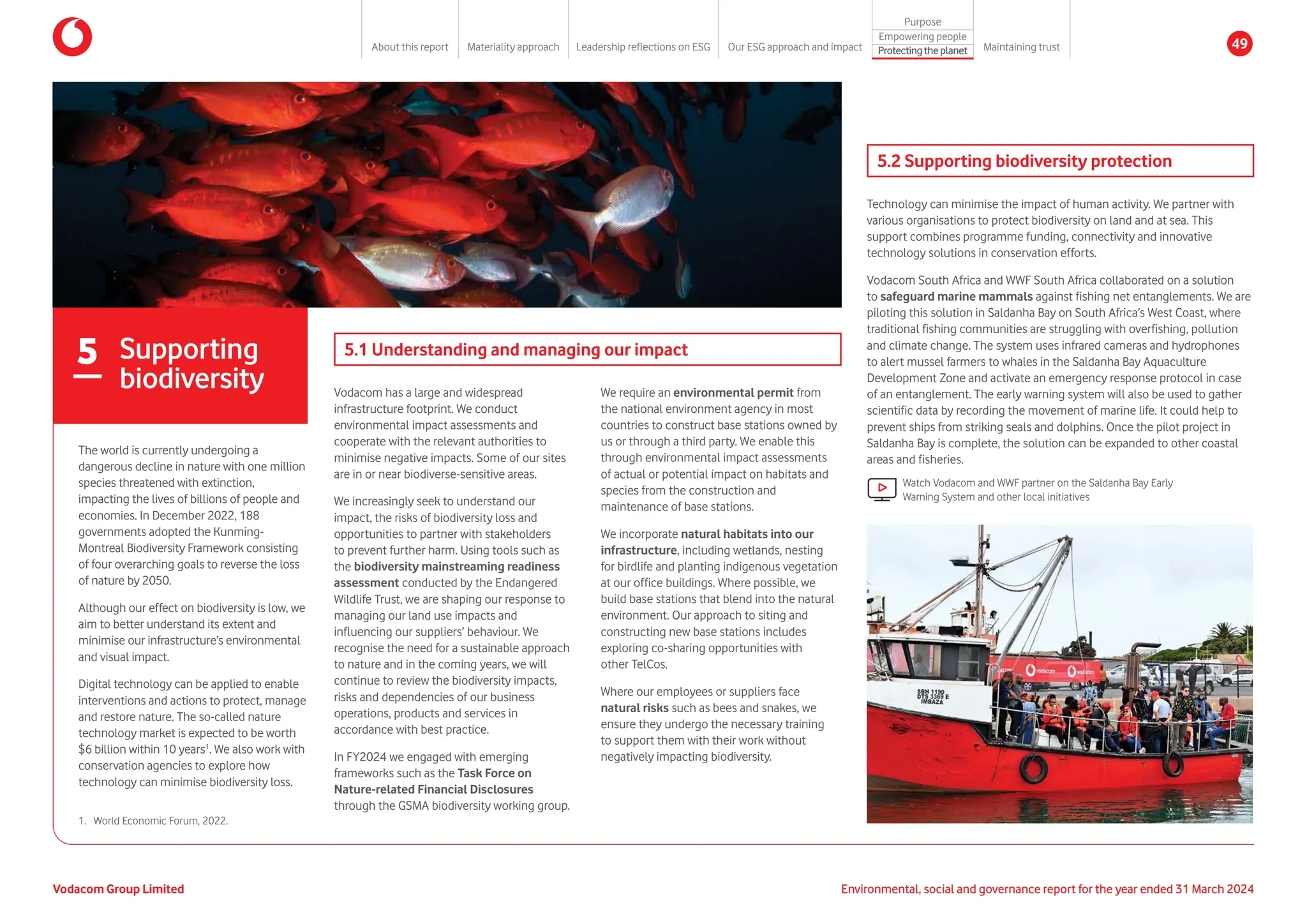 The world is currently undergoing a
dangerous decline in nature with one million
species threatened with extinction,
impacting the lives of billions of people and
economies. In December 2022, 188
governments adopted the Kunming-
Montreal Biodiversity Framework consisting
of four overarching goals to reverse the loss
of nature by 2050.
Although our effect on biodiversity is low, we
aim to better understand its extent and
minimise our infrastructure’s environmental
and visual impact.
Digital technology can be applied to enable
interventions and actions to protect, manage
and restore nature. The so-called nature
technology market is expected to be worth
$6 billion within 10 years1
. We also work with
conservation agencies to explore how
technology can minimise biodiversity loss.
5.1 Understanding and managing our impact
Vodacom has a large and widespread
infrastructure footprint. We conduct
environmental impact assessments and
cooperate with the relevant authorities to
minimise negative impacts. Some of our sites
are in or near biodiverse-sensitive areas.
We increasingly seek to understand our
impact, the risks of biodiversity loss and
opportunities to partner with stakeholders
to prevent further harm. Using tools such as
the biodiversity mainstreaming readiness
assessment conducted by the Endangered
Wildlife Trust, we are shaping our response to
managing our land use impacts and
influencing our suppliers’ behaviour. We
recognise the need for a sustainable approach
to nature and in the coming years, we will
continue to review the biodiversity impacts,
risks and dependencies of our business
operations, products and services in
accordance with best practice.
In FY2024 we engaged with emerging
frameworks such as the Task Force on
Nature-related Financial Disclosures
through the GSMA biodiversity working group.
We require an environmental permit from
the national environment agency in most
countries to construct base stations owned by
us or through a third party. We enable this
through environmental impact assessments
of actual or potential impact on habitats and
species from the construction and
maintenance of base stations.
We incorporate natural habitats into our
infrastructure, including wetlands, nesting
for birdlife and planting indigenous vegetation
at our office buildings. Where possible, we
build base stations that blend into the natural
environment. Our approach to siting and
constructing new base stations includes
exploring co-sharing opportunities with
other TelCos.
Where our employees or suppliers face
natural risks such as bees and snakes, we
ensure they undergo the necessary training
to support them with their work without
negatively impacting biodiversity.
5.2 Supporting biodiversity protection
Technology can minimise the impact of human activity. We partner with
various organisations to protect biodiversity on land and at sea. This
support combines programme funding, connectivity and innovative
technology solutions in conservation efforts.
Vodacom South Africa and WWF South Africa collaborated on a solution
to safeguard marine mammals against fishing net entanglements. We are
piloting this solution in Saldanha Bay on South Africa’s West Coast, where
traditional fishing communities are struggling with overfishing, pollution
and climate change. The system uses infrared cameras and hydrophones
to alert mussel farmers to whales in the Saldanha Bay Aquaculture
Development Zone and activate an emergency response protocol in case
of an entanglement. The early warning system will also be used to gather
scientific data by recording the movement of marine life. It could help to
prevent ships from striking seals and dolphins. Once the pilot project in
Saldanha Bay is complete, the solution can be expanded to other coastal
areas and fisheries.
5 Supporting
biodiversity
1.	
World Economic Forum, 2022.
Watch Vodacom and WWF partner on the Saldanha Bay Early
Warning System and other local initiatives
Vodacom Group Limited Environmental, social and governance report for the year ended 31 March 2024
About this report Materiality approach Leadership reflections on ESG Our ESG approach and impact
Purpose
Maintaining trust
Empowering people
Protectingtheplanet 49
 