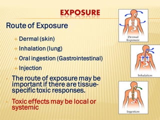 Environmental toxicology | PDF