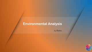 Environmental Analysis
 