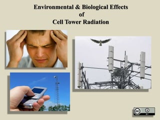 Environmental & Biological Effects
of
Cell Tower Radiation
 
