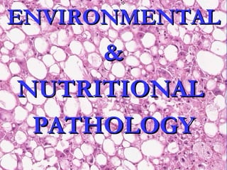 ENVIRONMENTALENVIRONMENTAL
&&
NUTRITIONALNUTRITIONAL
PATHOLOGYPATHOLOGY
 