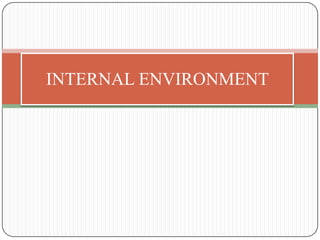 INTERNAL ENVIRONMENT
 