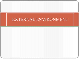 EXTERNAL ENVIRONMENT
 