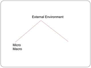 External Environment
Micro
Macro
 