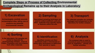 Complete Steps or Process of Collecting Environmental
Archaeological Remains up to their Analysis in Laboratory
1) Excavation
Archaeologists carefully excavate
archaeological sites, taking care to
preserve any potential
environmental remains.
2) Sampling
Specialized sampling technique are
used to collect sediment, soil and
other materials from specific layers
or features within the site.
3) Transport
The collected samples are carefully
packaged and transported to the
laboratory for further analysis.
4) Sorting
In the laboratory, the samples are
sorted to separate the
environmental remains , such as
Pollen, Phytoliths and micro-fauna,
from other materials.
5) Identification
Identified remains are then
examined under a microscope or
using other techniques to determine
their species or types.
6) Analysis
The analyzed data is used to
reconstruct past environments,
such as vegetation , climate and
Human activities.
 