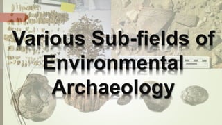 Various Sub-fields of
Environmental
Archaeology
 