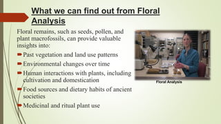 What we can find out from Floral
Analysis
Floral remains, such as seeds, pollen, and
plant macrofossils, can provide valuable
insights into:
Past vegetation and land use patterns
Environmental changes over time
Human interactions with plants, including
cultivation and domestication
Food sources and dietary habits of ancient
societies
Medicinal and ritual plant use
Floral Analysis
 
