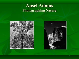 Ansel Adams
Photographing Nature
 