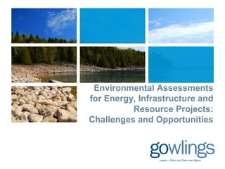 Environmental Assessments
for Energy, Infrastructure and
Resource Projects:
Challenges and Opportunities

 