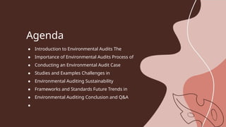 Environmental Audit presentation from student | PPTX