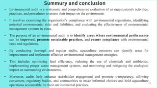 Environmental Audit | PPTX