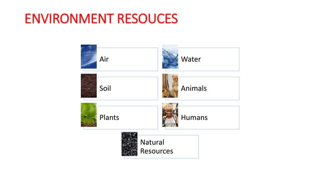 Environmental awareness and safety precautions | PPT