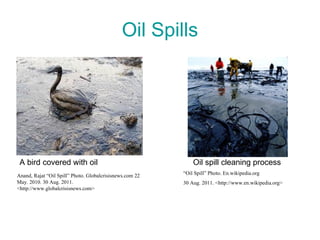 Oil Spills A bird covered with oil Oil spill cleaning process “ Oil Spill” Photo. En.wikipedia.org  30 Aug. 2011. <http://www.en.wikipedia.org> Anand, Rajat “Oil Spill” Photo. Globalcrisisnews.com 22 May. 2010. 30 Aug. 2011. <http://www.globalcrisisnews.com> 