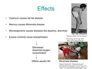 Effects Cadmium causes Itai Itai disease Mercury causes Minamata disease Microorganisms causes diseases like dysentry, diarrohea Excess nutrients cause eutrophication Decreases dissolved oxygen concentration Affects aquatic life Itai Itai disease Minamata disease Thijssen, Sandy.“Itai itai disease”  Physiology.be 30 Aug. 2011 .  <http://www.physiology.be> Shareef, Rishan M..“Minamata disease” mrishaanshareef.blogspot.com 30 Aug. 2011. <http://www.mrishaanshareef.blogspot.com> 