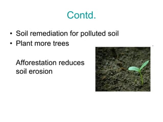 Contd. Soil remediation for polluted soil Plant more trees Afforestation reduces  soil erosion 