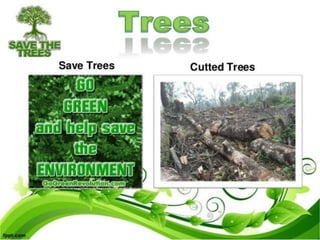 Environmental awareness presentation 2