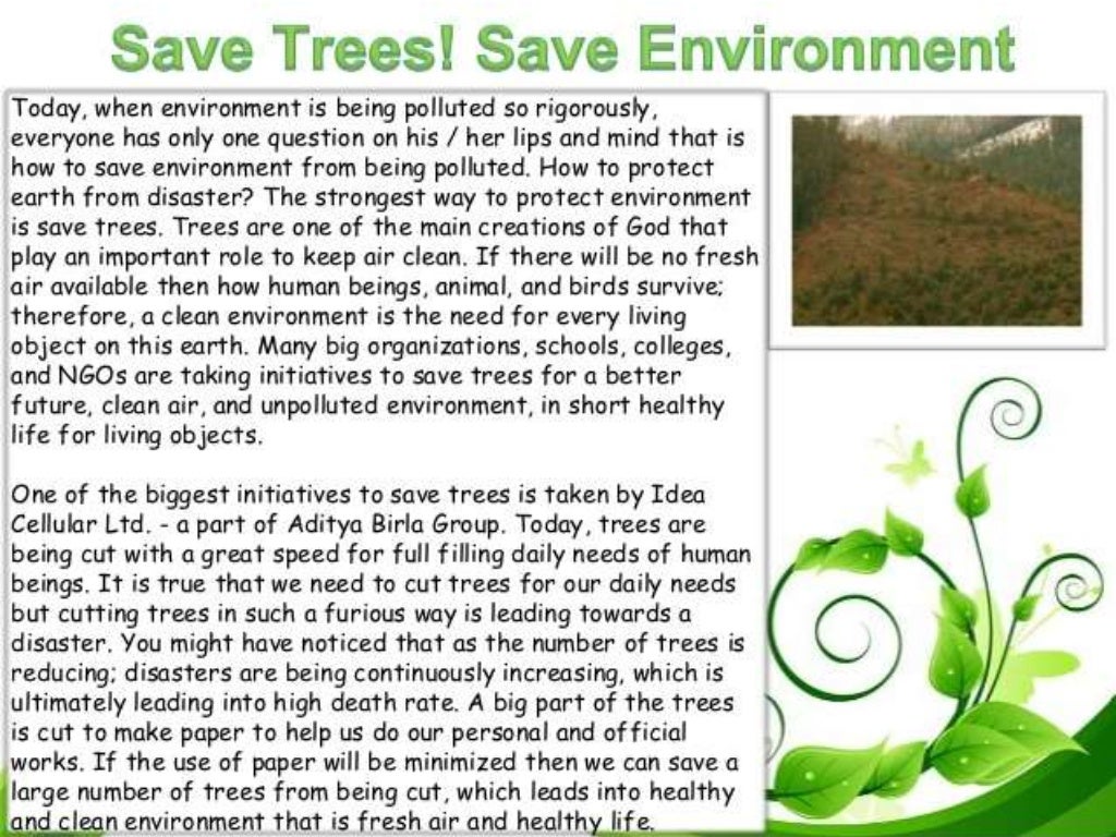 Environmental Awareness Presentation 2