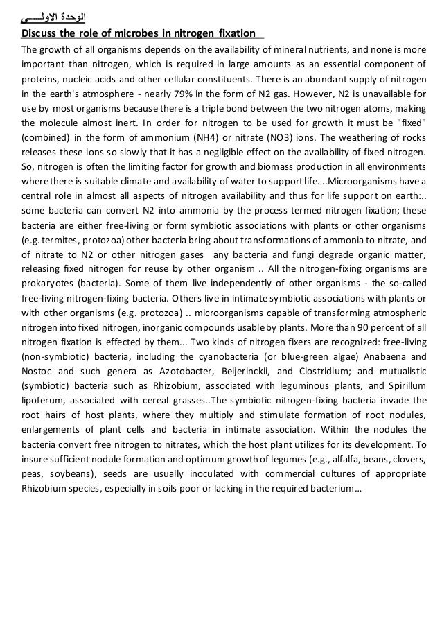 the effects of nitrogen fixation on the growth rate of bacteria the effects of nitrogen fixation on the growth rate of bacteria