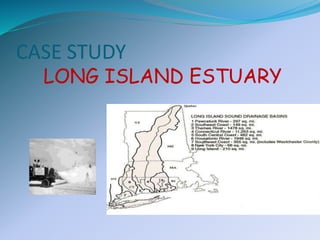 CASE STUDY
LONG ISLAND ESTUARY
 