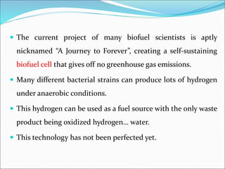  The current project of many biofuel scientists is aptly
nicknamed “A Journey to Forever”, creating a self-sustaining
biofuel cell that gives off no greenhouse gas emissions.
 Many different bacterial strains can produce lots of hydrogen
under anaerobic conditions.
 This hydrogen can be used as a fuel source with the only waste
product being oxidized hydrogen… water.
 This technology has not been perfected yet.
 