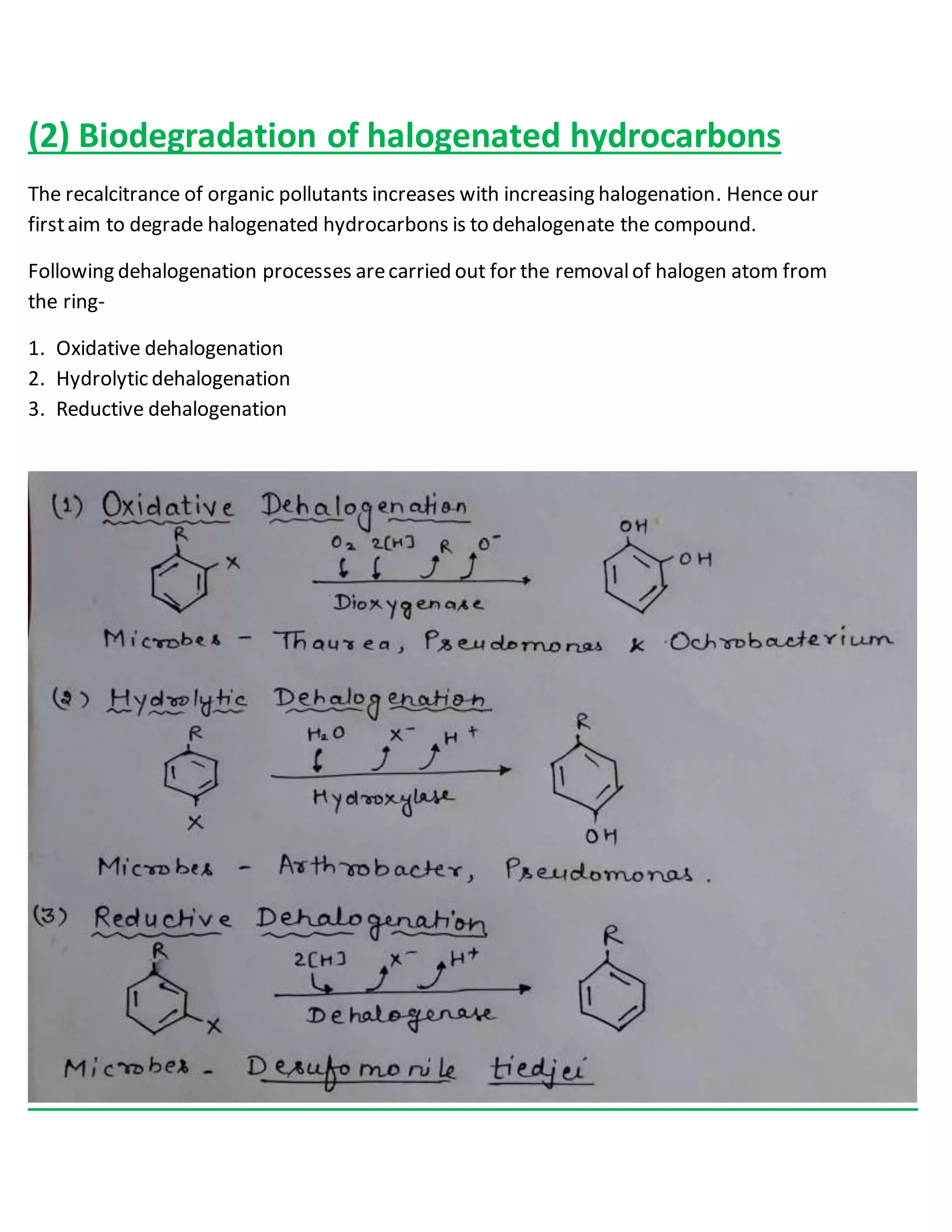 BIODEGRADATION OF ORGANIC POLLUTANTS | DOCX