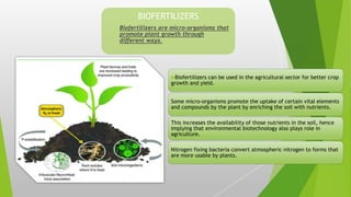 Biofertilizers can be used in the agricultural sector for better crop
growth and yield.
Some micro-organisms promote the uptake of certain vital elements
and compounds by the plant by enriching the soil with nutrients.
This increases the availability of those nutrients in the soil, hence
implying that environmental biotechnology also plays role in
agriculture.
Nitrogen fixing bacteria convert atmospheric nitrogen to forms that
are more usable by plants.
BIOFERTILIZERS
Biofertilizers are micro-organisms that
promote plant growth through
different ways.
 