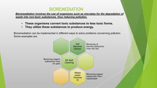 BIOREMEDIATION
Bioremediation involves the use of organisms such as microbes for the degradation of
waste into non-toxic substances, thus reducing pollution.
• These organisms convert toxic substances to less toxic forms.
• They utilize these substances to produce energy.
Bioremediation can be implemented in different ways to solve problems concerning pollution.
Some examples are
Soil
Bioreme
diation
Removing of
harmful pollutants
from the soil
Oil Spill
Cleaning
Removing organic
substances from
oil spills
Waste
water
Treatme
nt
Removing organic
substances from
wastewater
 