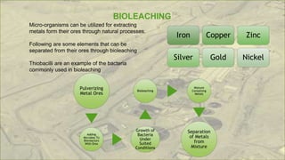 ENVIRONMENTAL BIOTECHNOLOGY presentation.pptx