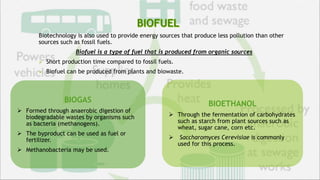 Biotechnology is also used to provide energy sources that produce less pollution than other
sources such as fossil fuels.
Biofuel is a type of fuel that is produced from organic sources
 Short production time compared to fossil fuels.
 Biofuel can be produced from plants and biowaste.
BIOGAS
 Formed through anaerobic digestion of
biodegradable wastes by organisms such
as bacteria (methanogens).
 The byproduct can be used as fuel or
fertilizer.
 Methanobacteria may be used.
BIOETHANOL
 Through the fermentation of carbohydrates
such as starch from plant sources such as
wheat, sugar cane, corn etc.
 Saccharomyces Cerevisiae is commonly
used for this process.
 